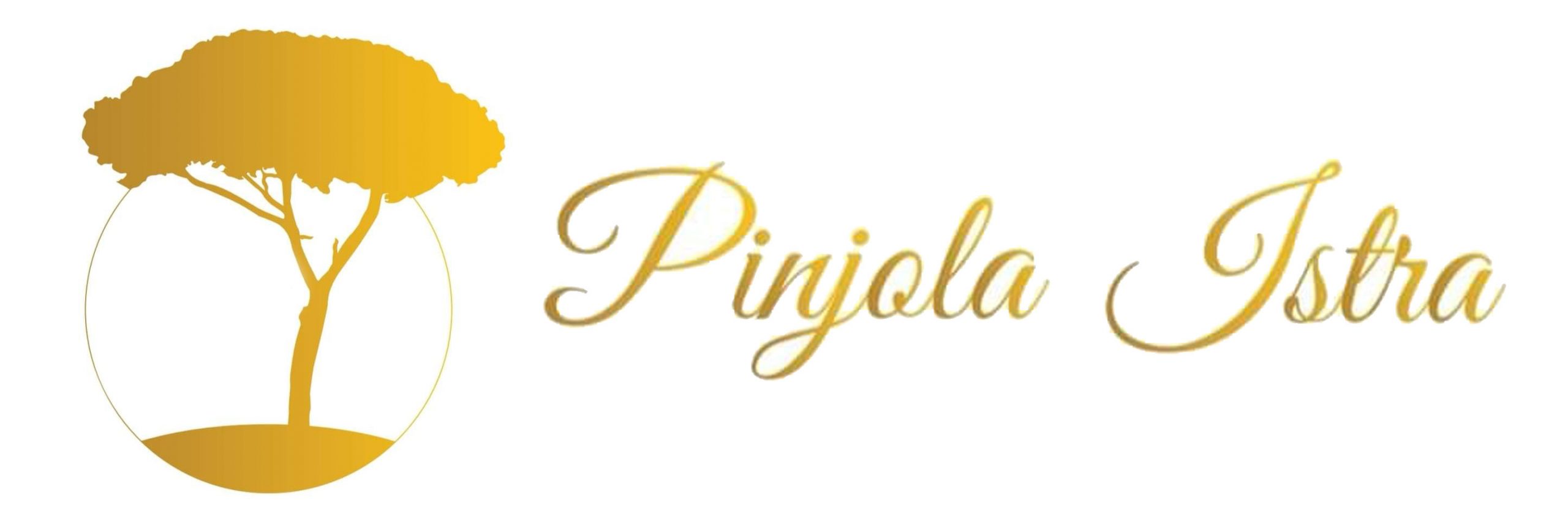 pinjola-web-logo-dugi